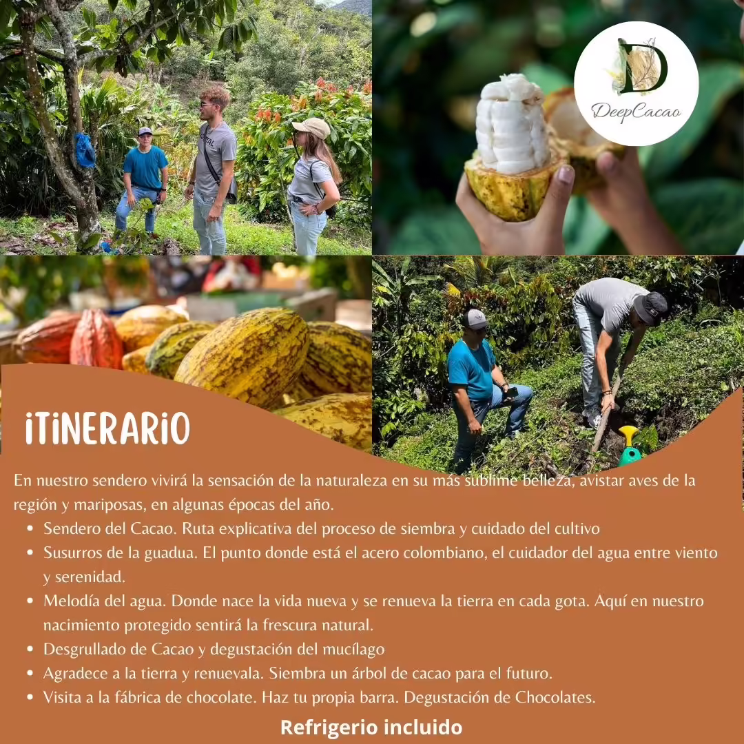 Imagen de Ruta del Cacao